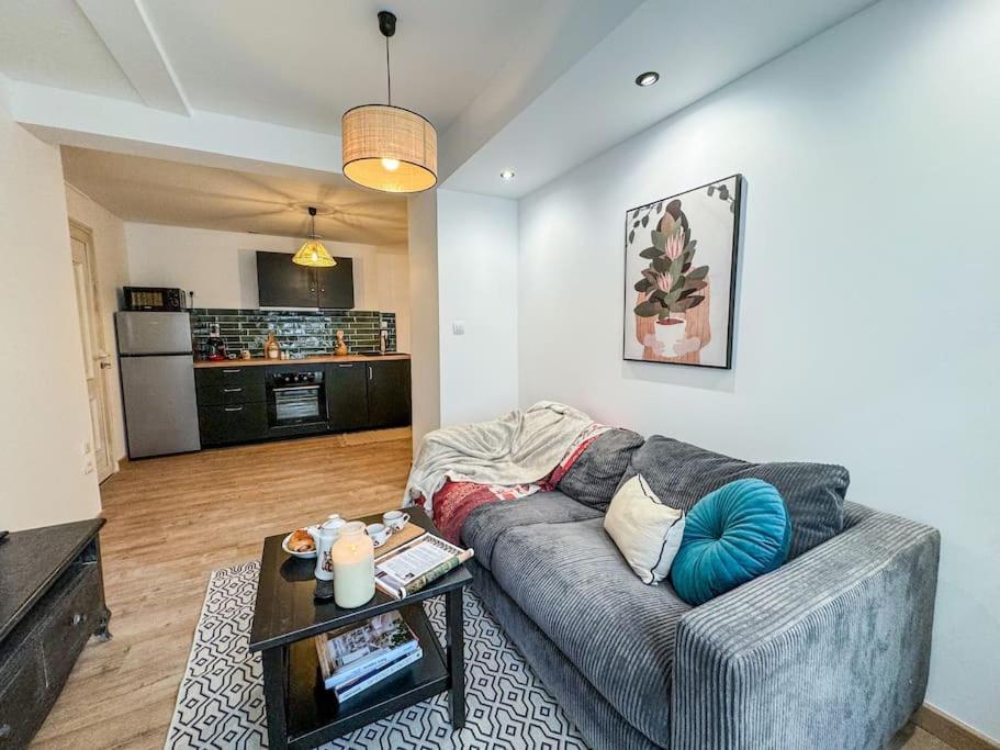 Elegance Au Coeur De Tarbes Lejlighed Eksteriør billede
